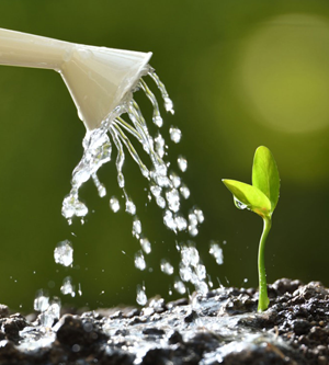 Quy trình sản xuất hiện đại, khép kín và vô trùng tuyệt đối